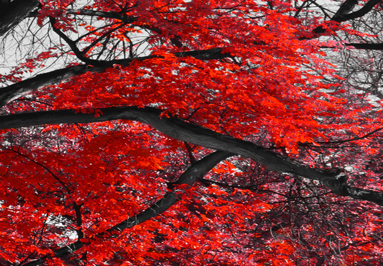 Canvas Autumn in the Park (5 Parts) Narrow Red 122770 additionalImage 4