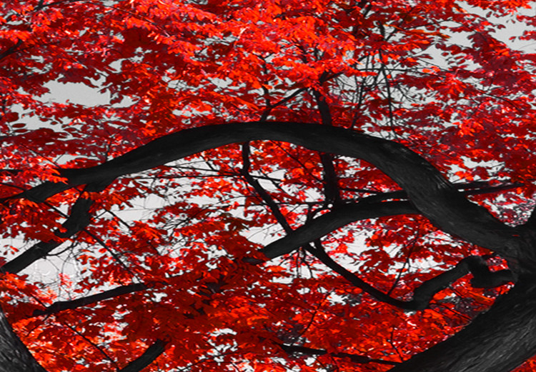 Canvas Autumn in the Park (5 Parts) Narrow Red 122770 additionalImage 5