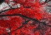 Canvas Autumn in the Park (5 Parts) Narrow Red 122770 additionalThumb 4