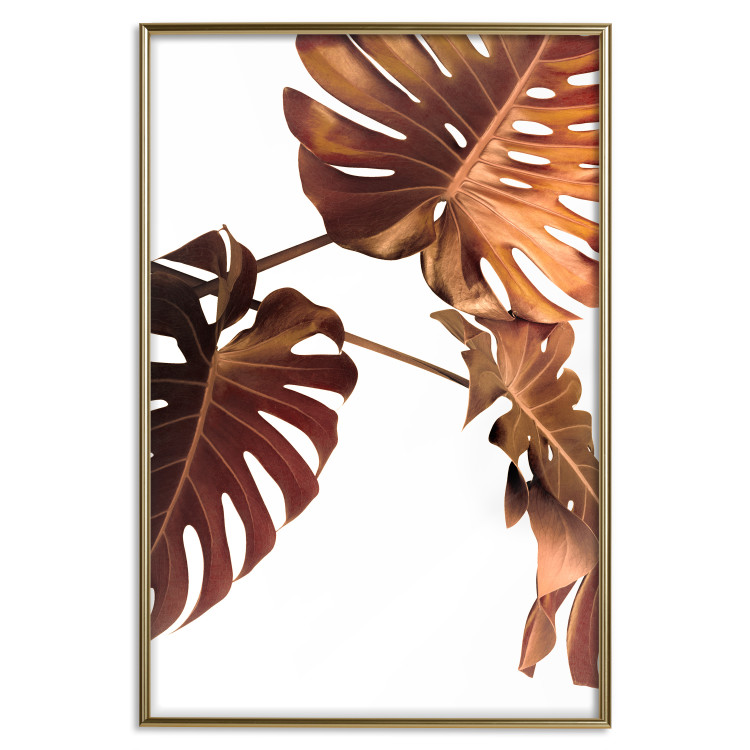 Poster Golden Garden - tropical leaves in copper hue on white background 123770 additionalImage 16