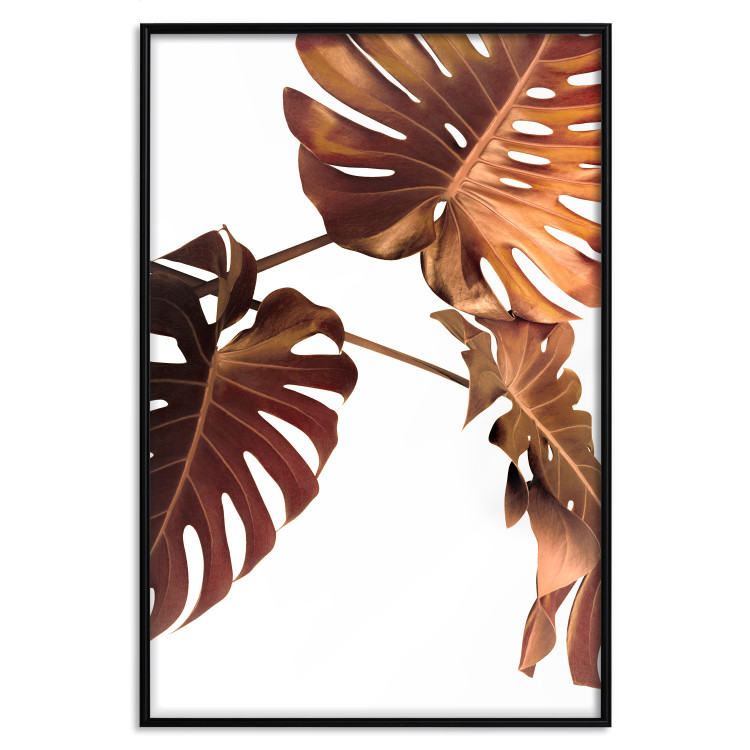 Poster Golden Garden - tropical leaves in copper hue on white background 123770 additionalImage 18