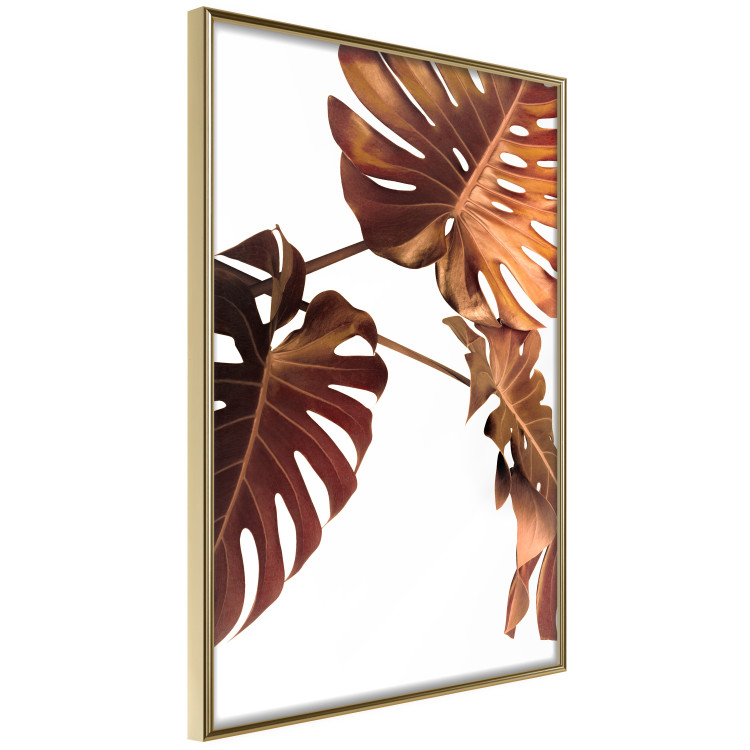 Poster Golden Garden - tropical leaves in copper hue on white background 123770 additionalImage 12
