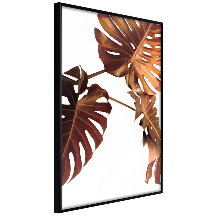 Poster Golden Garden - tropical leaves in copper hue on white background 123770 additionalImage 10