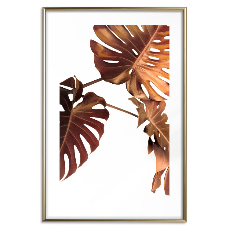 Poster Golden Garden - tropical leaves in copper hue on white background 123770 additionalImage 14
