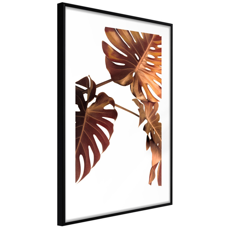Poster Golden Garden - tropical leaves in copper hue on white background 123770 additionalImage 11