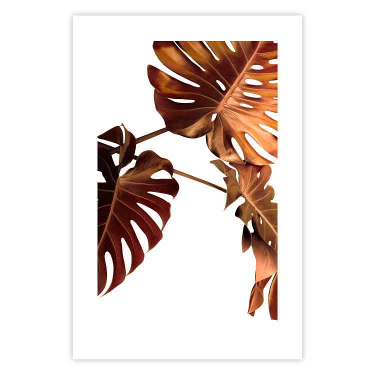 Poster Golden Garden - tropical leaves in copper hue on white background 123770 additionalImage 19