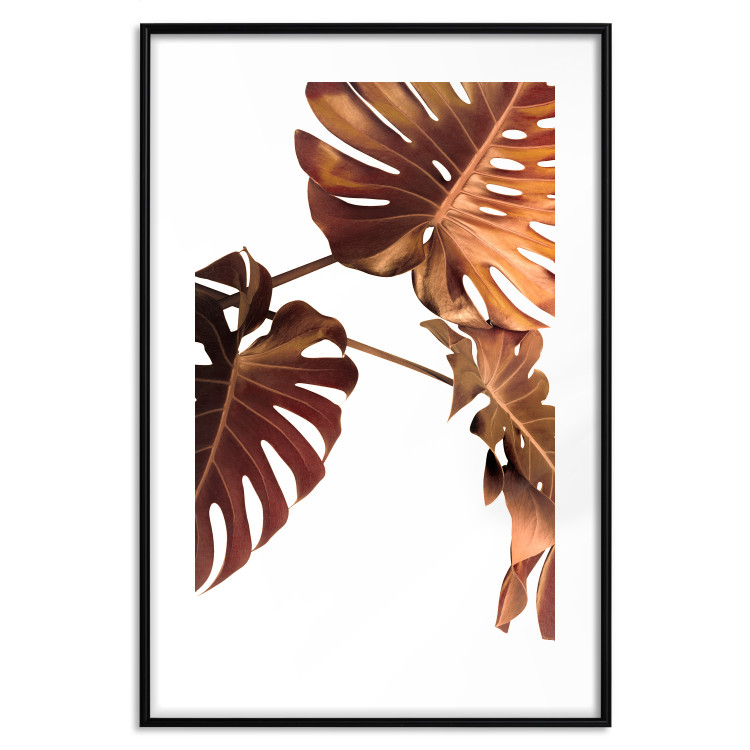 Poster Golden Garden - tropical leaves in copper hue on white background 123770 additionalImage 15