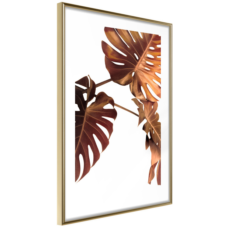 Poster Golden Garden - tropical leaves in copper hue on white background 123770 additionalImage 6