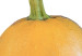 Poster Hello Fall - orange pumpkin and English text on a white background 131770 additionalThumb 8