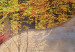 Canvas Four Seasons (5-piece) - landscape with trees in Zen style 145370 additionalThumb 4