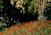 Poster Woman in the Garden  151970 additionalThumb 3