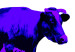 Canvas Cows in three colours 55770 additionalThumb 3