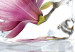 Canvas Print Frozen magnolia 58770 additionalThumb 4