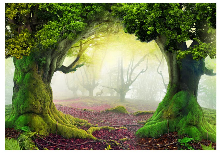 Wall Mural Enchanted forest 59770 additionalImage 1