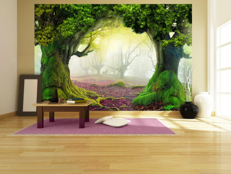 Wall Mural Enchanted forest 59770