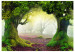 Wall Mural Enchanted forest 59770 additionalThumb 1