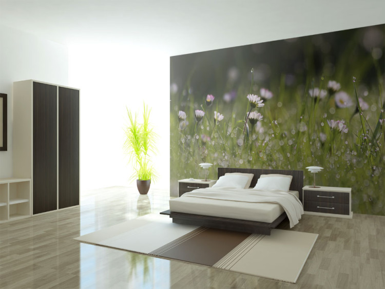 Wall Mural Daisies - Morning Dew and Meadow Landscape with Flowers in Water Droplets 60470