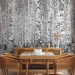 Wall Mural Birch seclusion 60570 additionalThumb 4