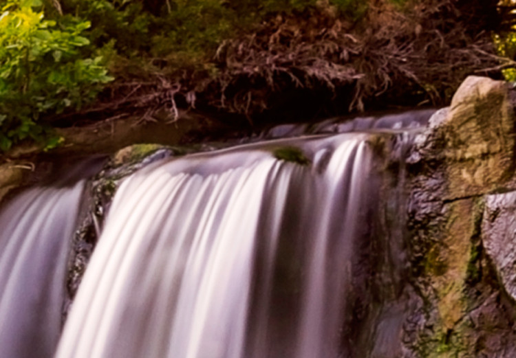 Canvas Forest Waterfall 90570 additionalImage 4