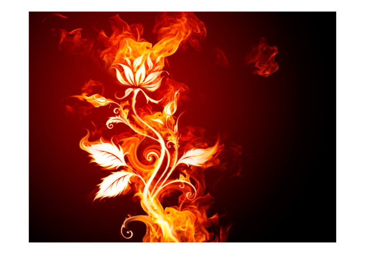 Wall Mural Blazing flower 97270 additionalImage 1