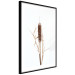 Wall Poster Swamp Queen - autumn composition with aquatic plant on a white background 119180 additionalThumb 11