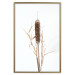 Wall Poster Swamp Queen - autumn composition with aquatic plant on a white background 119180 additionalThumb 17
