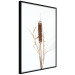 Wall Poster Swamp Queen - autumn composition with aquatic plant on a white background 119180 additionalThumb 10
