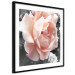 Poster I Love You - pink rose flower on a black and white field with plants 122680 additionalThumb 13