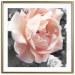 Poster I Love You - pink rose flower on a black and white field with plants 122680 additionalThumb 14