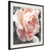 Poster I Love You - pink rose flower on a black and white field with plants 122680 additionalThumb 3