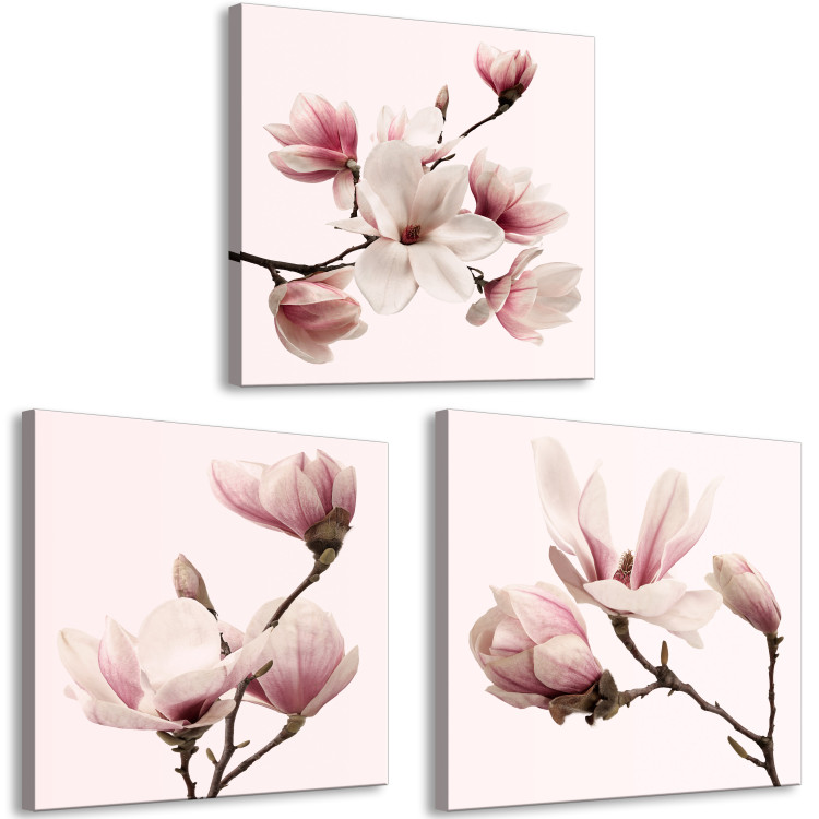 Canvas Art Print Pink Spectrum of Nature (3-part) - Delicate Magnolia Blossom 122780 additionalImage 2