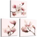 Canvas Art Print Pink Spectrum of Nature (3-part) - Delicate Magnolia Blossom 122780 additionalThumb 2