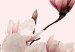 Canvas Art Print Pink Spectrum of Nature (3-part) - Delicate Magnolia Blossom 122780 additionalThumb 4