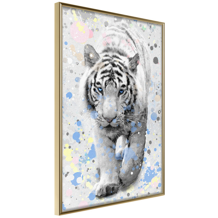 Poster White Tiger - tropical animal on background of colorful watercolor dots 127880 additionalImage 14