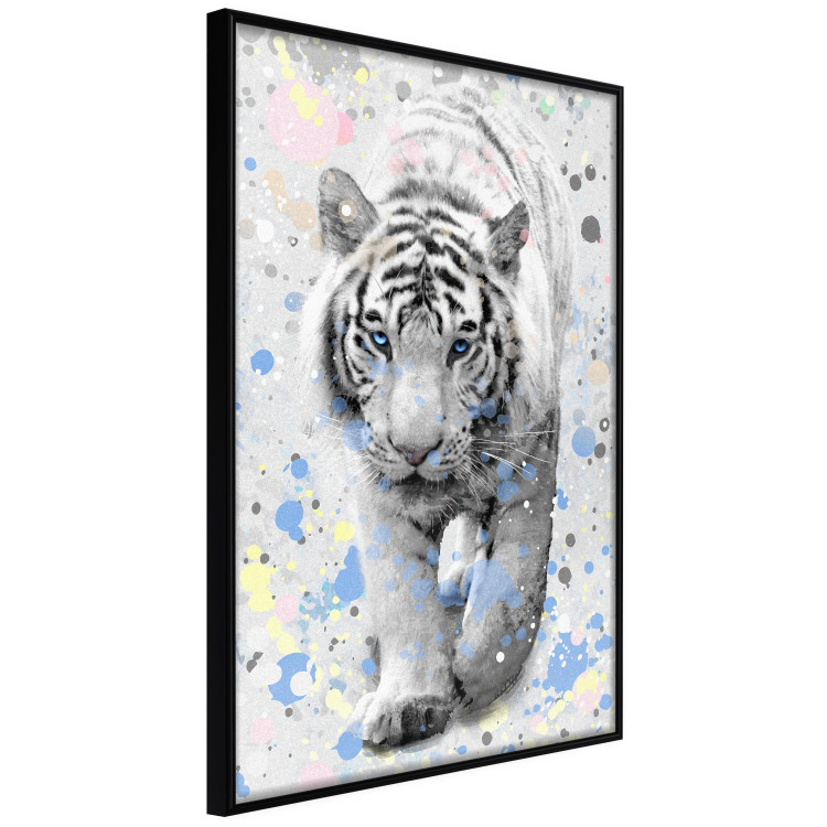 Poster White Tiger - tropical animal on background of colorful watercolor dots 127880 additionalImage 11