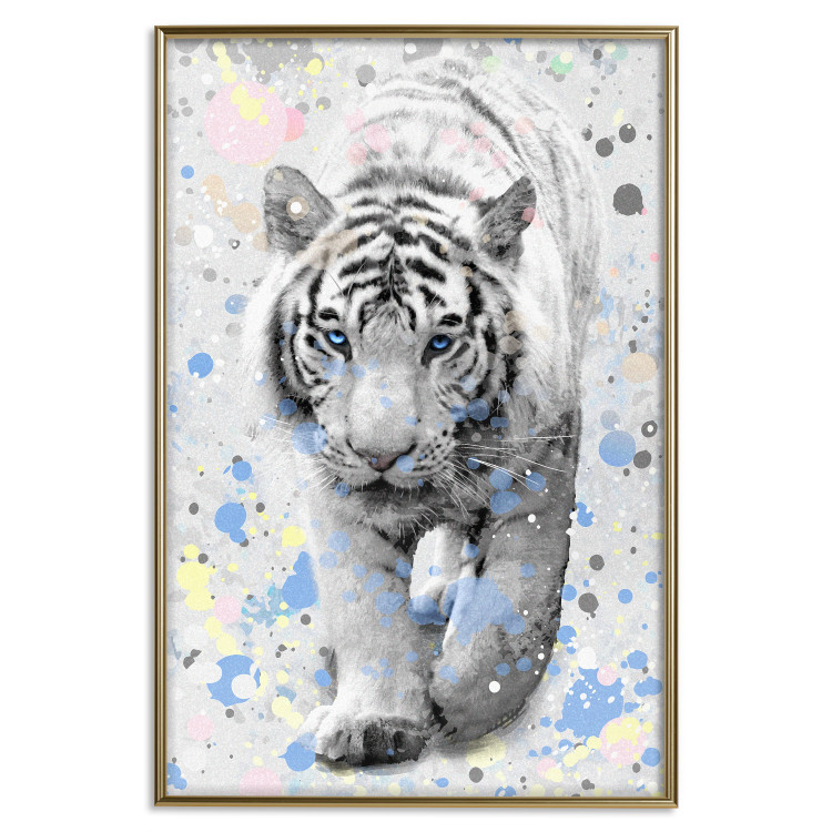 Poster White Tiger - tropical animal on background of colorful watercolor dots 127880 additionalImage 17