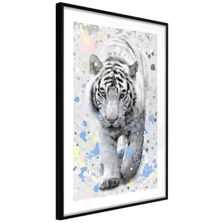 Poster White Tiger - tropical animal on background of colorful watercolor dots 127880 additionalImage 2