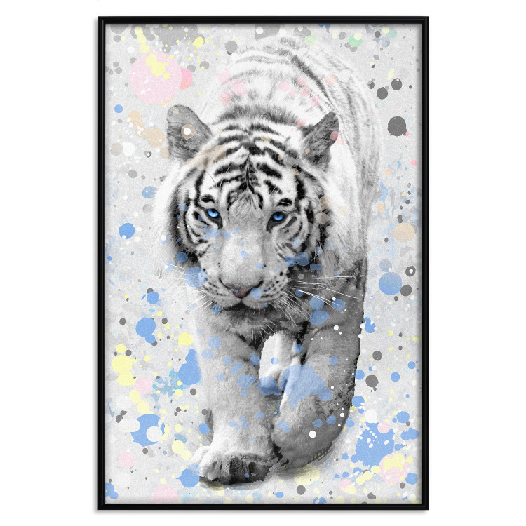 Poster White Tiger - tropical animal on background of colorful watercolor dots 127880 additionalImage 16