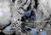 Poster White Tiger - tropical animal on background of colorful watercolor dots 127880 additionalThumb 11
