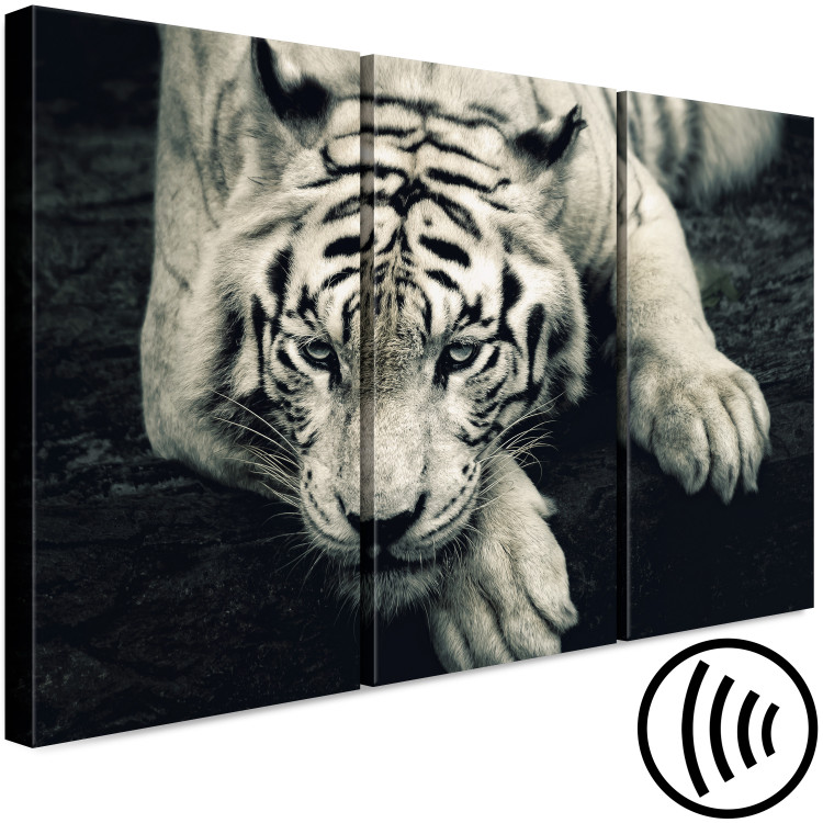 Canvas Calm tiger - sepia triptych with a lying tiger on a black background 128780 additionalImage 6