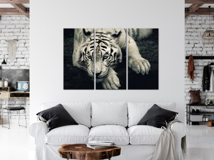 Canvas Calm tiger - sepia triptych with a lying tiger on a black background 128780 additionalImage 3
