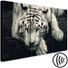 Canvas Calm tiger - sepia triptych with a lying tiger on a black background 128780 additionalThumb 6