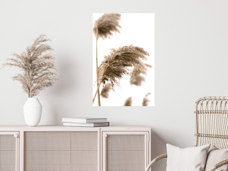 Poster Dry Wind - plant landscape in the wind on a contrasting white background 131780 additionalImage 4