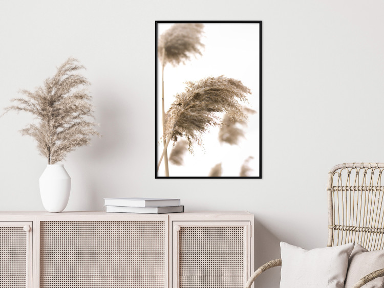 Poster Dry Wind - plant landscape in the wind on a contrasting white background 131780 additionalImage 6