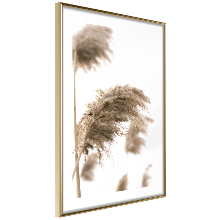 Poster Dry Wind - plant landscape in the wind on a contrasting white background 131780 additionalImage 7