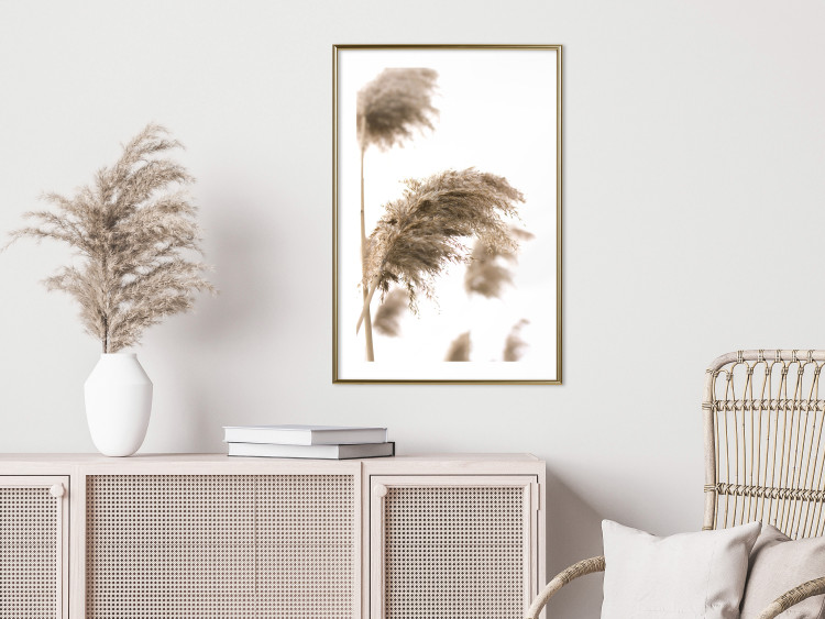 Poster Dry Wind - plant landscape in the wind on a contrasting white background 131780 additionalImage 13