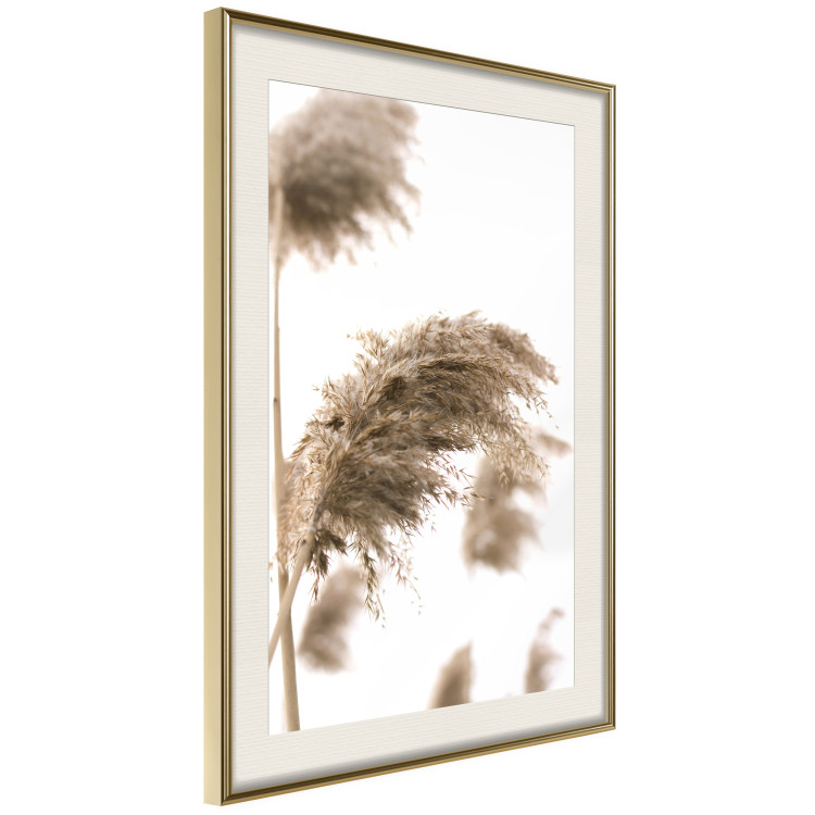 Poster Dry Wind - plant landscape in the wind on a contrasting white background 131780 additionalImage 3