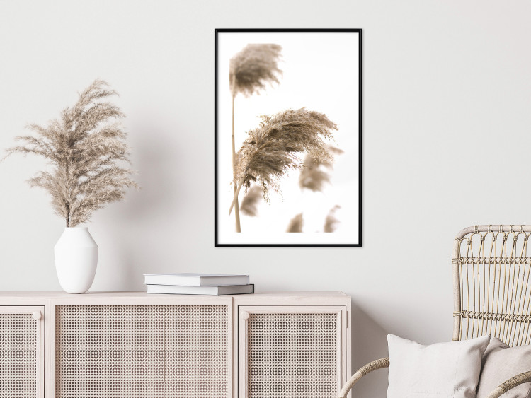 Poster Dry Wind - plant landscape in the wind on a contrasting white background 131780 additionalImage 23