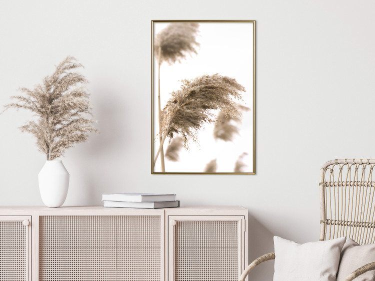 Poster Dry Wind - plant landscape in the wind on a contrasting white background 131780 additionalImage 5