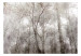 Wall Mural Crown of trees - grey landscape in a forest full of trees in vintage style 137880 additionalThumb 1